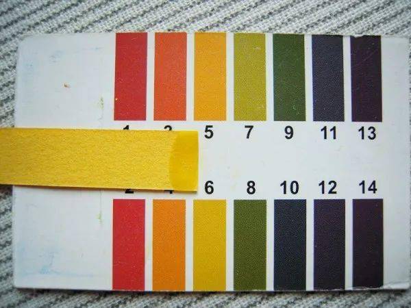 正常的雨水的pH值是多少?